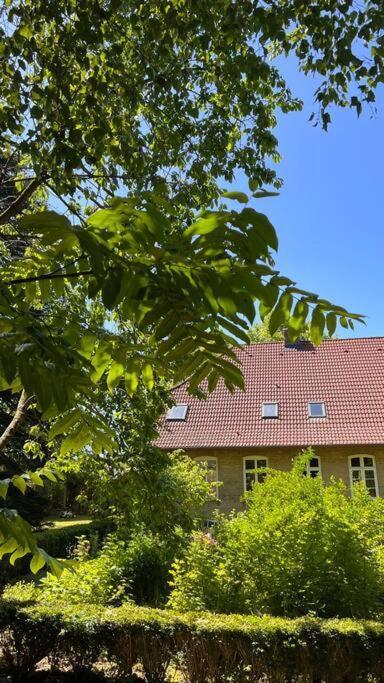 Idyllisches Appartement Nahe Ostsee Und Schlei Rabenkirchen-Faulück Extérieur photo